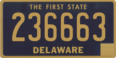 DE license plate 236663