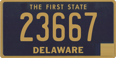 DE license plate 23667