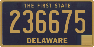 DE license plate 236675