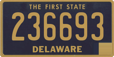 DE license plate 236693