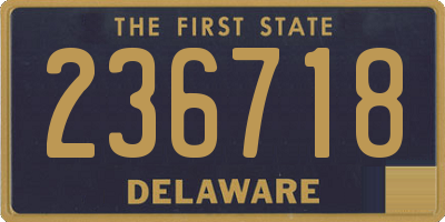 DE license plate 236718