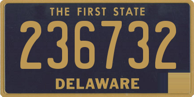DE license plate 236732