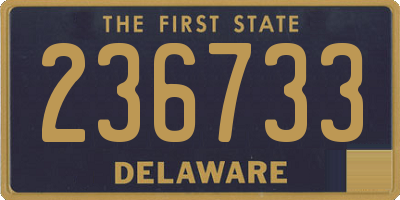 DE license plate 236733