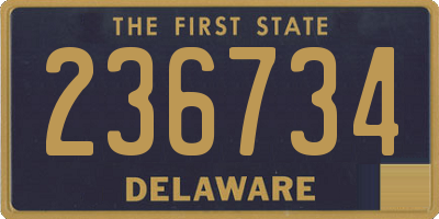 DE license plate 236734