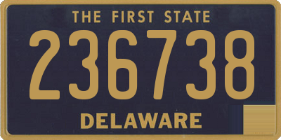 DE license plate 236738