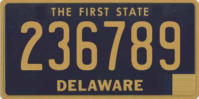 DE license plate 236789