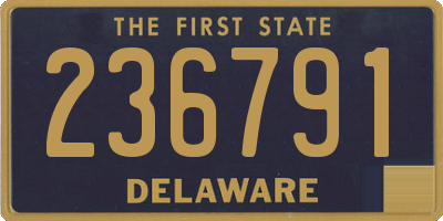 DE license plate 236791