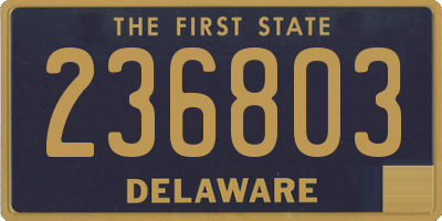 DE license plate 236803