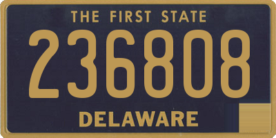 DE license plate 236808