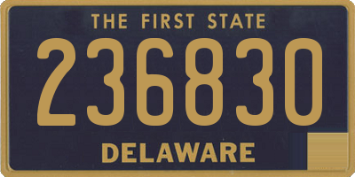 DE license plate 236830