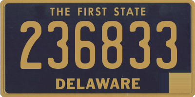 DE license plate 236833