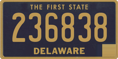 DE license plate 236838