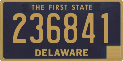 DE license plate 236841