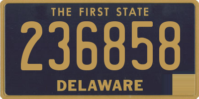 DE license plate 236858