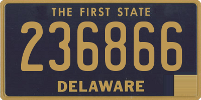 DE license plate 236866