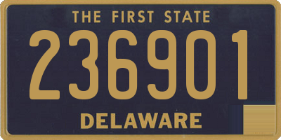 DE license plate 236901