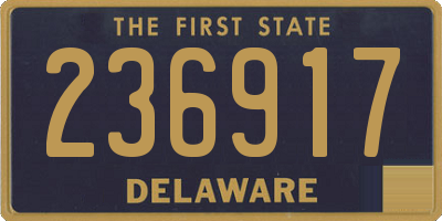 DE license plate 236917