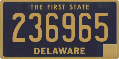 DE license plate 236965
