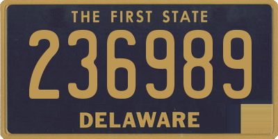 DE license plate 236989