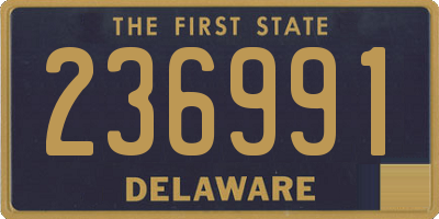 DE license plate 236991