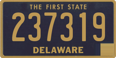 DE license plate 237319