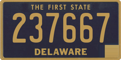 DE license plate 237667