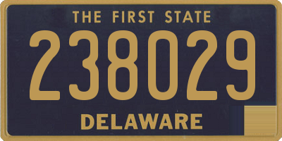 DE license plate 238029