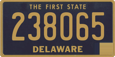 DE license plate 238065