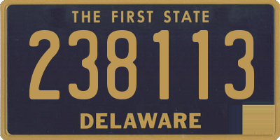 DE license plate 238113