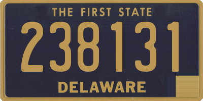DE license plate 238131