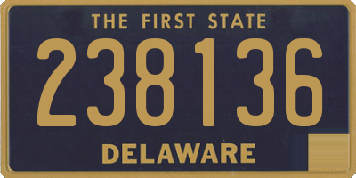 DE license plate 238136