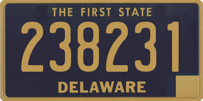 DE license plate 238231