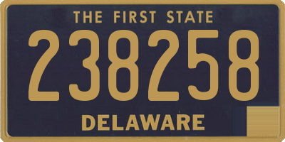 DE license plate 238258