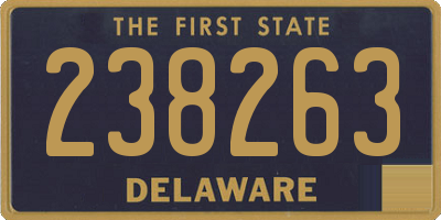 DE license plate 238263