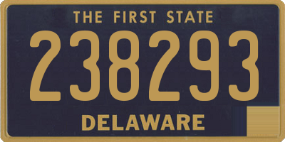 DE license plate 238293