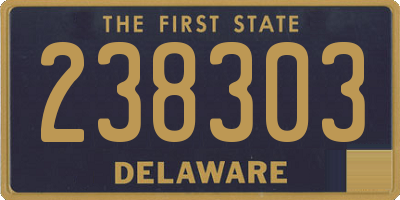 DE license plate 238303