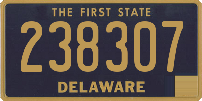 DE license plate 238307