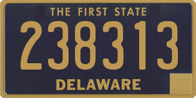 DE license plate 238313