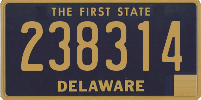 DE license plate 238314