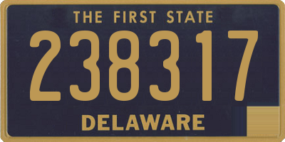 DE license plate 238317