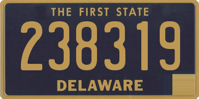 DE license plate 238319