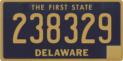 DE license plate 238329