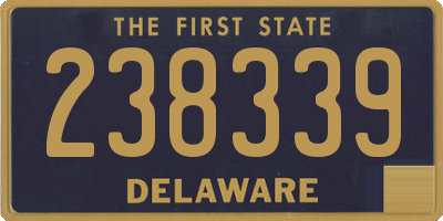 DE license plate 238339