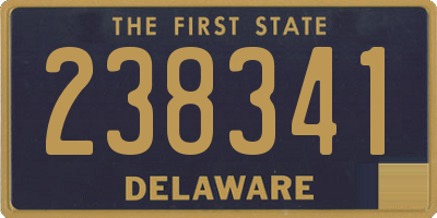 DE license plate 238341