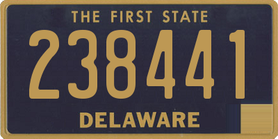 DE license plate 238441