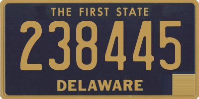 DE license plate 238445