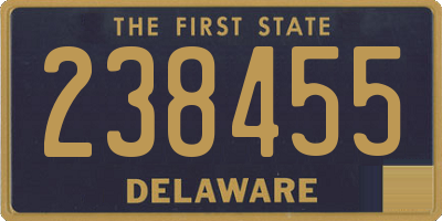 DE license plate 238455