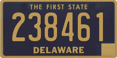 DE license plate 238461