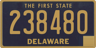 DE license plate 238480