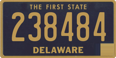 DE license plate 238484